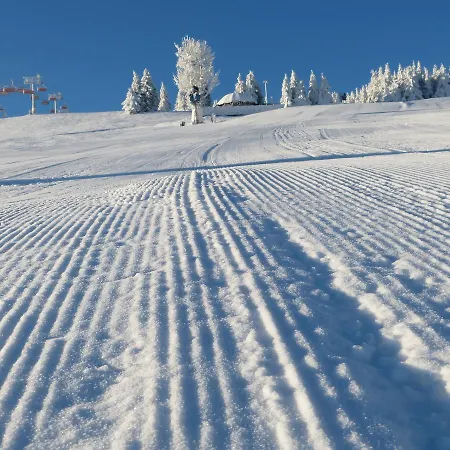 Osrodek Wypoczynkowy Regle Resort