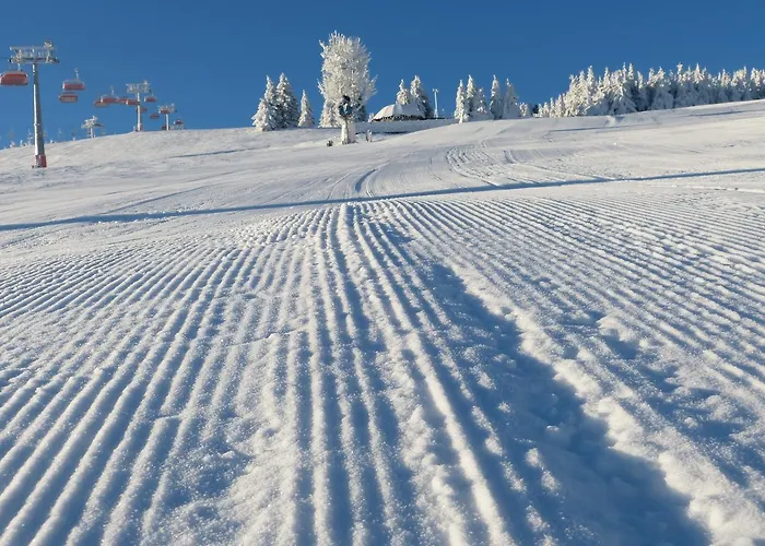 Osrodek Wypoczynkowy Regle Resort